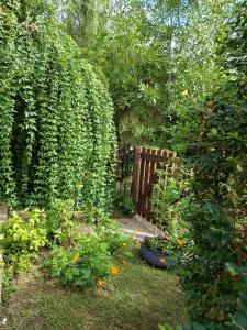 Zahrada ubytování Hakuna Matata