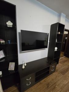 Et tv og/eller underholdning på Lux apartment 223