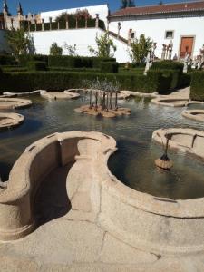 a pond in a garden with trees in it at CiTY CENTER in Castelo Branco +13 photos
