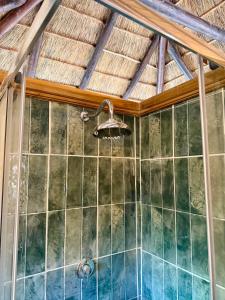 ducha en una habitación con techo en Tranquility, en Ciudad del Cabo
