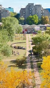 Zahrada ubytování Arena