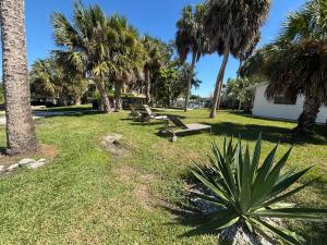 un grupo de bancos en un parque con palmeras en Dolphin Updated Cottage On River - 1 Mile to Beach Kitchen Washer Dryer, en Bonita Springs