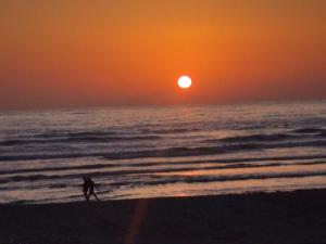 Billede fra billedgalleriet på Coconut tree cafe Gokarna i Gokarna