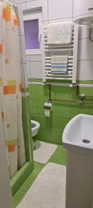 - une salle de bains verte et blanche avec toilettes et lavabo dans l'établissement Marija apartmani, à Kraljevo