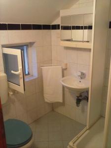 ein kleines Bad mit einem Waschbecken und einem WC in der Unterkunft Apartments Demo in Sveti Filip i Jakov