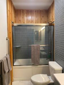 a bathroom with a toilet and a bath tub at Newly built home in Superior Duluth area in Superior +20 photos