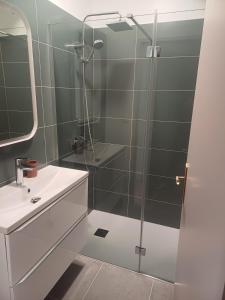 a bathroom with a shower and a sink at Appartement Hyper centre refait à neuf in Luchon +5 photos