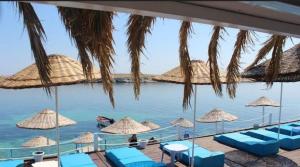 Příroda nedaleko hotelu