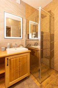 a bathroom with a shower and a sink and a mirror at Apartament Pod Magurą in Witów +6 photos