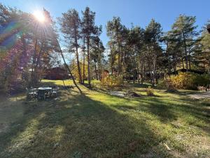 Příroda nedaleko chaty