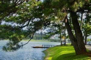 a dock in the middle of a lake with trees at Amy Hotel & Apartment in Da Thanh