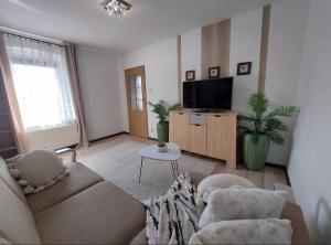 a living room with a couch and a tv at Chillout Apart pod Górą Zamkową in Wleń