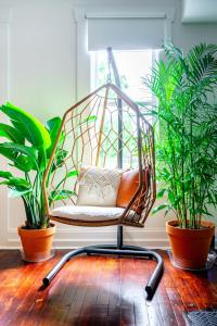a chair sitting in a room with two plants at Prime Location Top Rated Clean Parking Free! in Columbus
