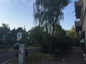Okolica w pobliżu tego apartamentu
