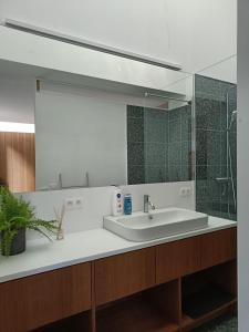 a bathroom with a sink and a mirror at De Steeg in Kalmthout +68 photos