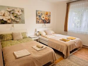 韦切什Emma Apartman的一间卧室,配有两张床和一扇窗户