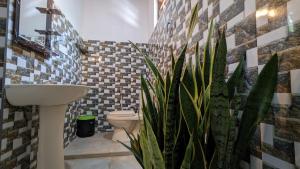 Φωτογραφία από το άλμπουμ του Echo 1 Tangalle στο Tangalle +86 φωτογραφίες