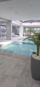 a large swimming pool with a plant in a building at Apartamentos La Posta in San Salvador de Jujuy