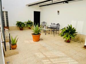 a patio with a table and chairs and potted plants at Casa La Martinica in Almagro