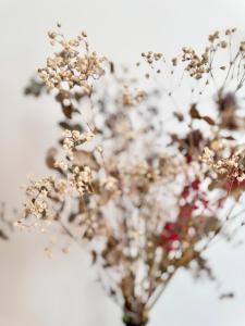 Φωτογραφία από το άλμπουμ του Chez Marc, avec vue verdoyante et parking privé στη Ρεν +32 φωτογραφίες