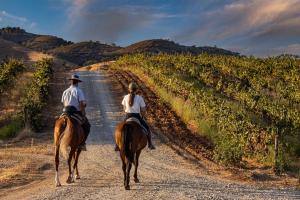 Due persone che cavalcano per una strada sterrata di Herdade Do Sobroso Wine & Luxury Boutique Hotel a Pedrógão