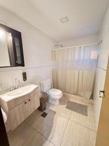 a bathroom with a toilet and a sink and a shower at Apart Ayres in Río Gallegos