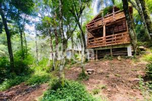 une cabane en rondins entourée d'arbres dans l'établissement Suite Low – Entre les Forêts de Gramado, à Gramado
