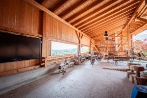 TV a/nebo společenská místnost v ubytování Ferienwohnung Tenne - Weissnhof