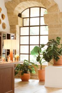 a kitchen with potted plants and a large window at Le Moulin, Lourmarin, a Beaumier Hotel in Lourmarin