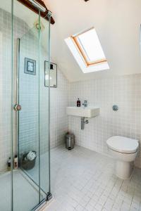 a bathroom with a shower and a toilet and a skylight at The Net Loft in Anstruther