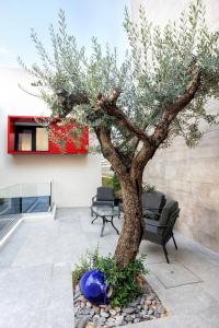 a blue vase sitting next to a tree in a courtyard at Harmonia B&B in Aversa