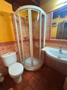 a bathroom with a toilet and a shower and a sink at Apartamentos Rurales La Plaza in Cabezuela del Valle
