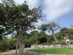 Gallery image of ESTANCIA don VICTOR 