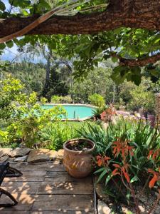 a garden with a pool in the background at Chalet Nanou in La Ciotat