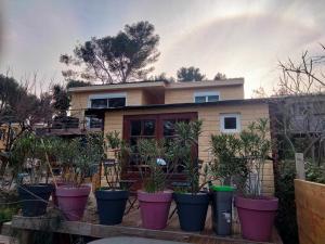 a house with potted plants in front of it at Chalet Nanou in La Ciotat