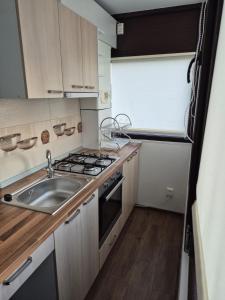 a small kitchen with a sink and a stove at BVA&Studio 