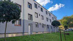 a large white building with trees in front of it at Kuckó Apartman Berente in Berente