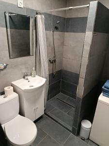 a bathroom with a shower and a toilet and a sink at Kuckó Apartman Berente in Berente