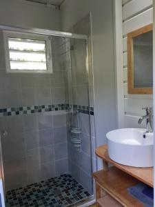 a bathroom with a sink and a shower at surf lodge in Deshaies