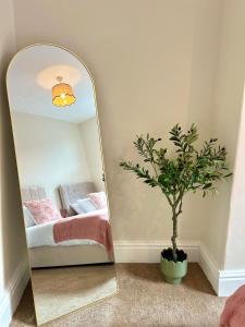 Un espejo en una habitación con una cama y una planta. en Cosy city centre home - Wi-Fi - Free Parking, en Preston 8 fotos más