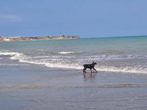 Příroda nedaleko prázdninového domu