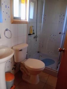 a bathroom with a toilet and a shower at Hostal Villa Portales in Lonquimay