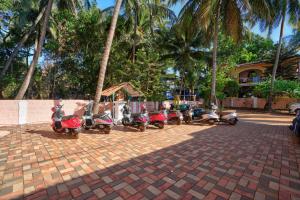 Κήπος έξω από το Hotel Albatross