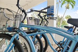 un grupo de motos azules estacionadas una al lado de la otra en Gulf Tides of Longboat Key, en Longboat Key