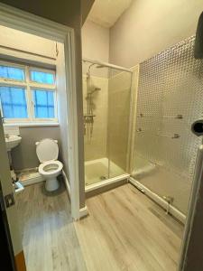 a bathroom with a shower and a toilet and a sink at Near City-Birkenhead rooms in Birkenhead