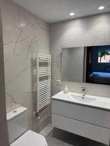 a bathroom with a sink and a toilet and a mirror at Spacious, cozy apartment with garden in Logroño