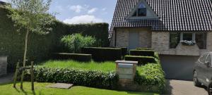 a house with a yard with a hedge at B&B 7T in Bruges