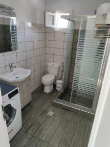 a bathroom with a shower and a toilet and a sink at Ismini's Luxury Villas in Mirodháton