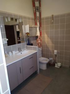 アルマーニュ・アン・プロバンスにあるGîte De Dianeの白い洗面台とトイレのあるバスルーム