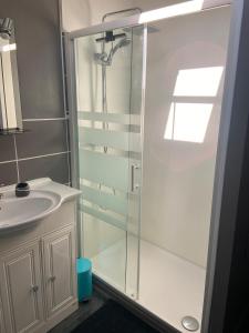 a bathroom with a shower and a sink at Maison Maurice in Le Mans